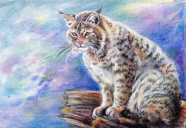 Рысь гуашью