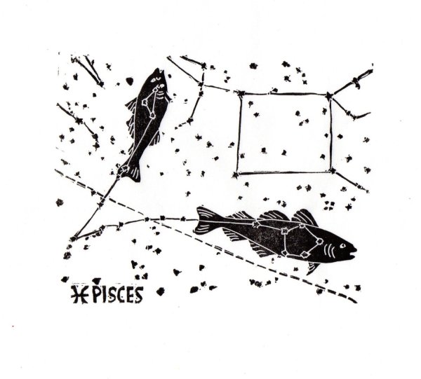 Знак рыбы Созвездие