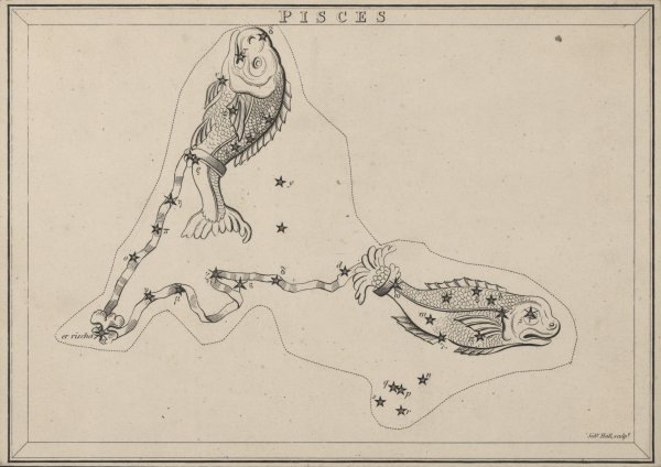 Созвездие рыбы по точкам