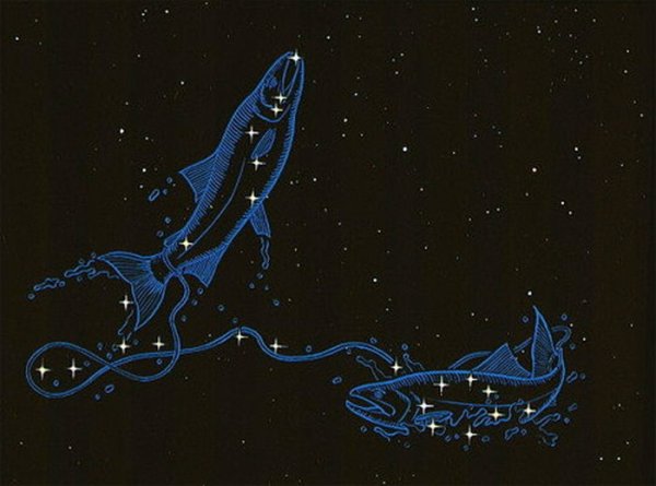 Созвездие рыбы арт