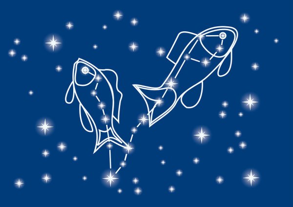 Созвездие рыбы звезды созвездия