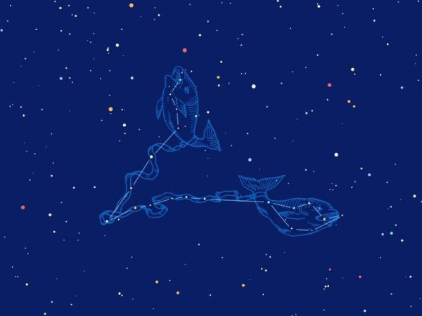 Созвездие рыбы для детей