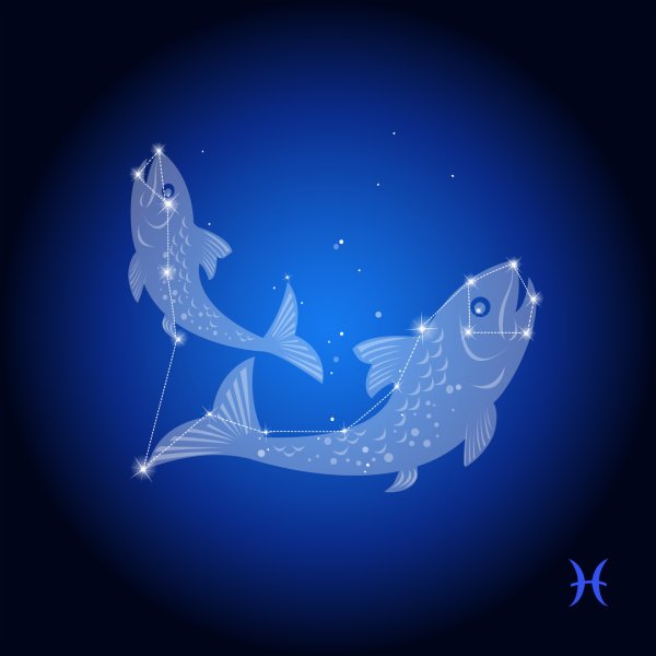 Созвездие рыбы