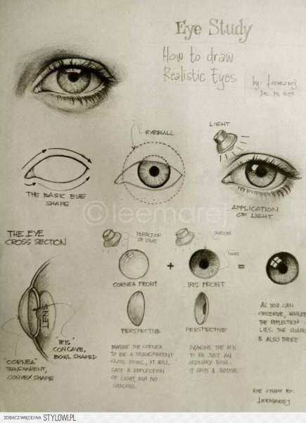 Строение глаза для рисования