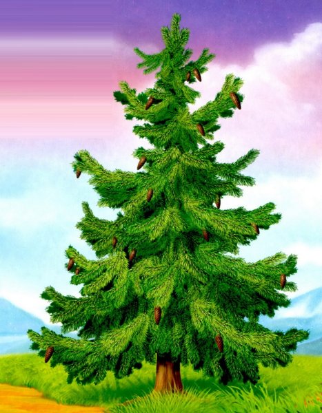 Ель для детей