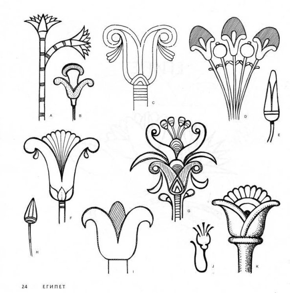 Растительный орнамент в искусстве древнего Египта