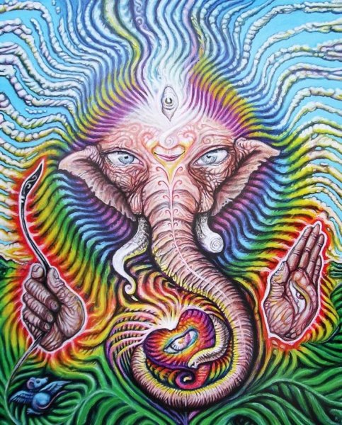 Картины трип лсд