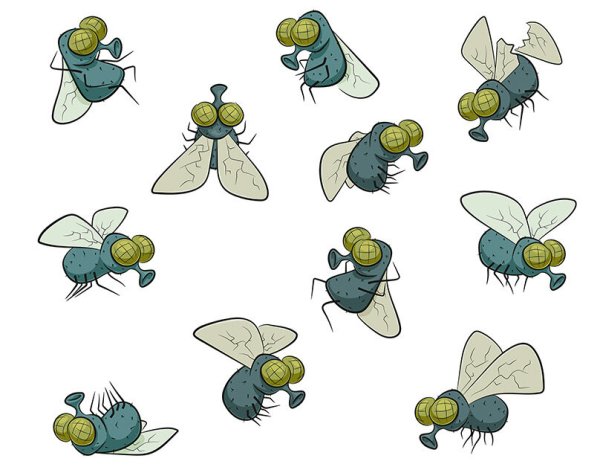 Муха мультяшная