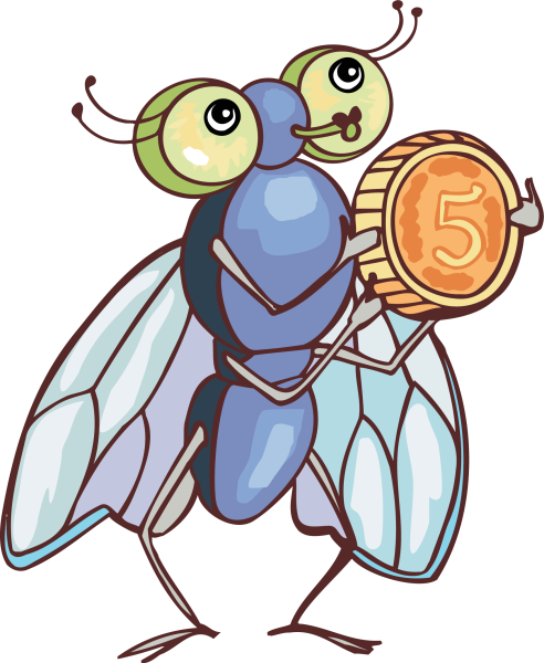 Муха для детей