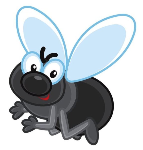 Муха (насекомое)