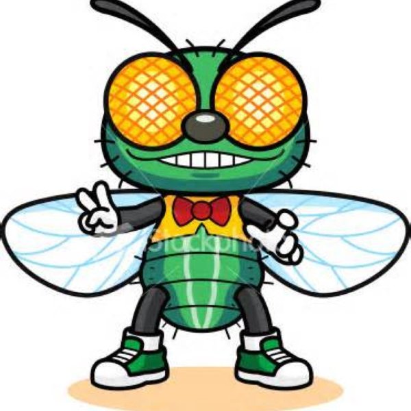 Муха нарисованная карандашом