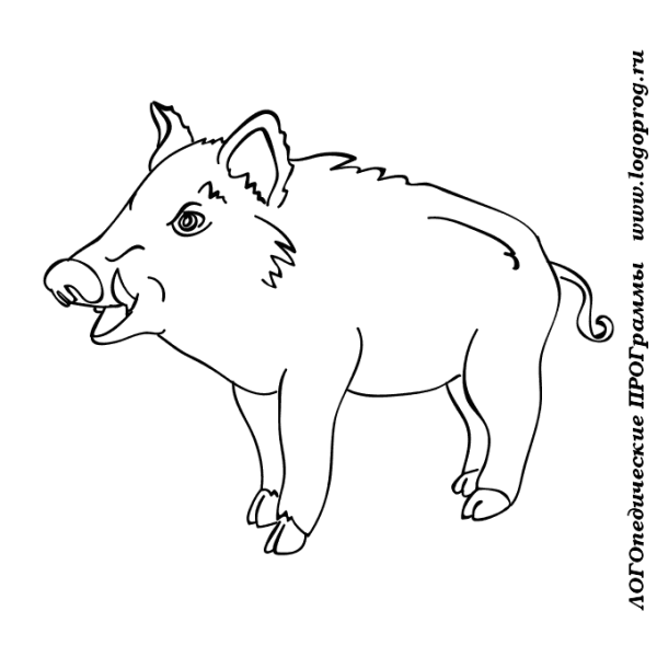 Мультяшные кабанчики