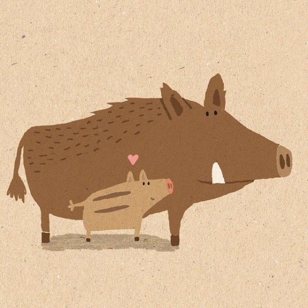 Свинка скетч