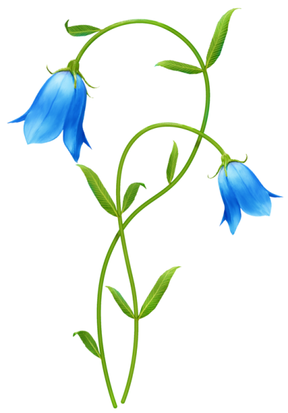 Колокольчик "цветы"