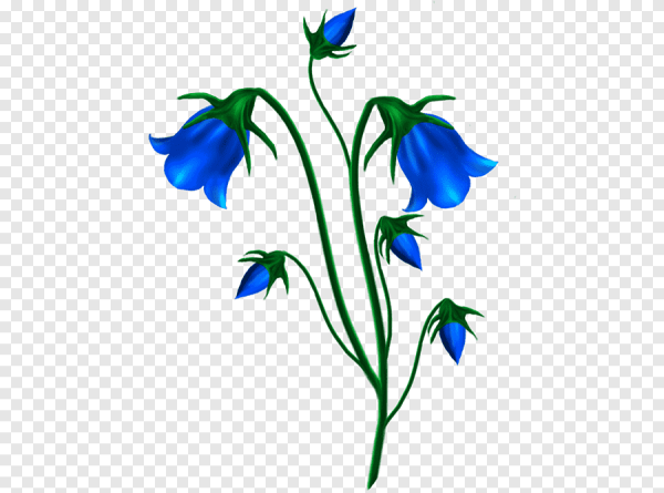 Колокольчик цветок для детей