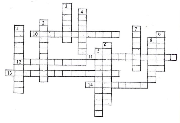 Нарисовать кроссворд