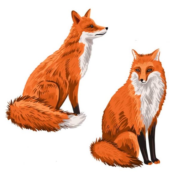 Лиса для детей