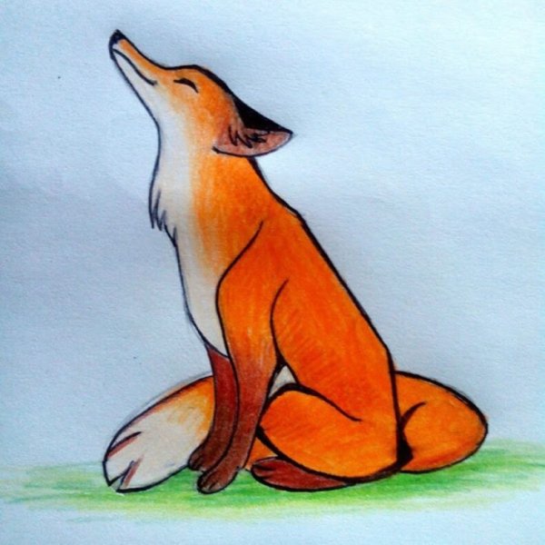 Рисунок лисы для срисовки