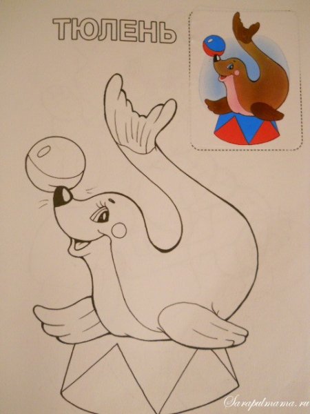 Афиша рисунок карандашом