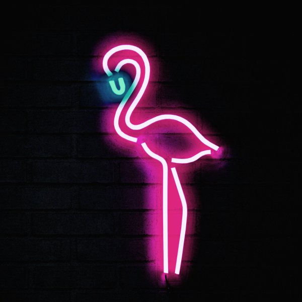 Неоновый Фламинго