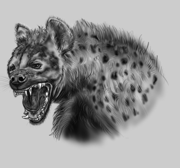 Пятнистая гиена арт
