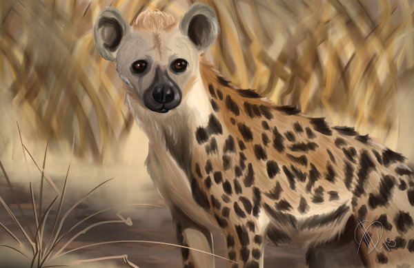 Гиена палитра