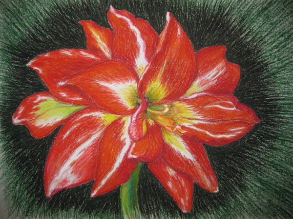 Аленький цветочек