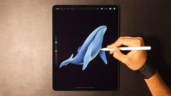 Procreate планшете IPAD