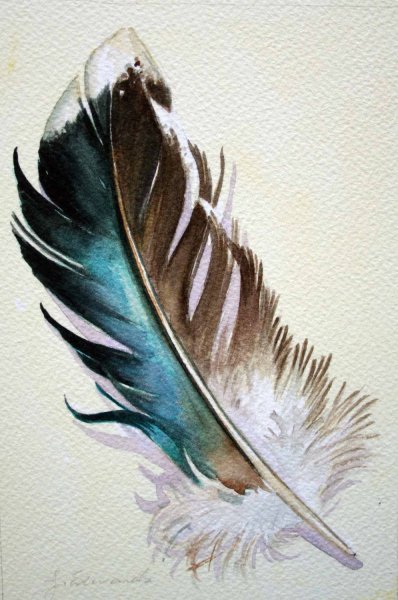 Утиное перо акварелью
