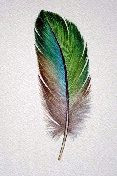 Перо цветными карандашами