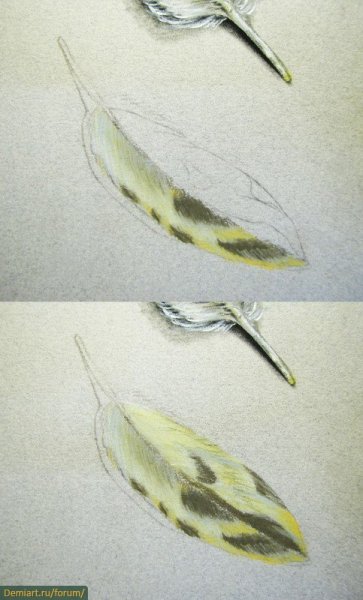 Перо синицы акварель