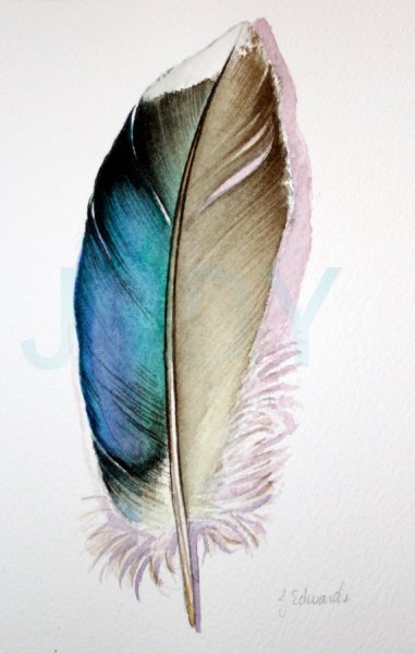 Красивое перо