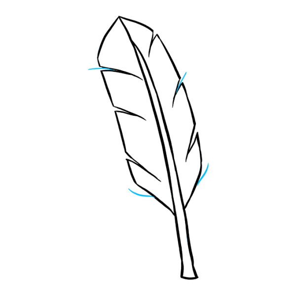 Красивое перо