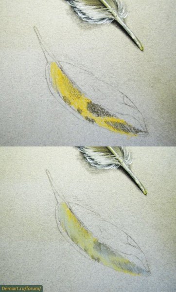 Птичье перо