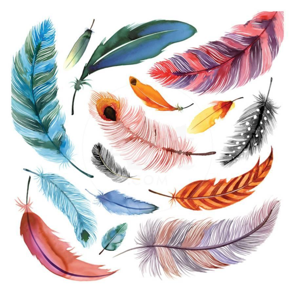 Перо селезня