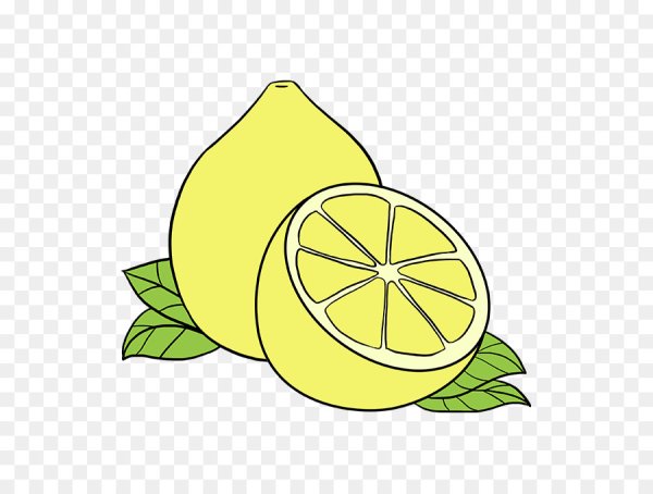 Лимон рисунок для детей