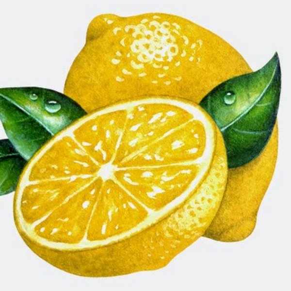 Лимон на белом фоне