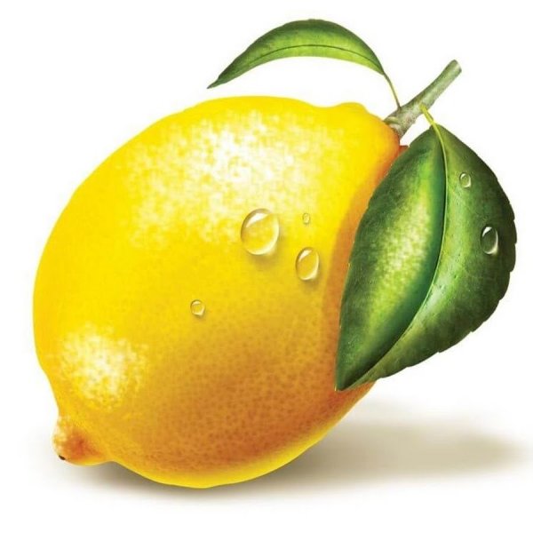 Лион нарисовать