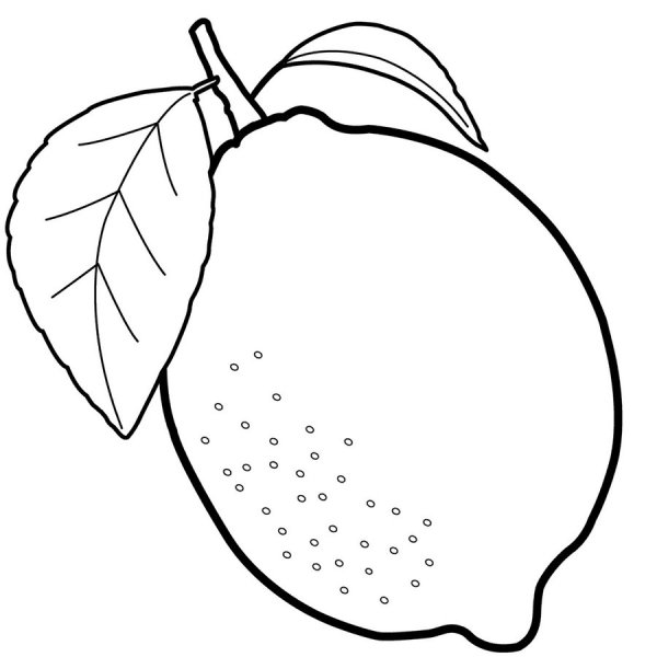 Лимон в разрезе акварелью