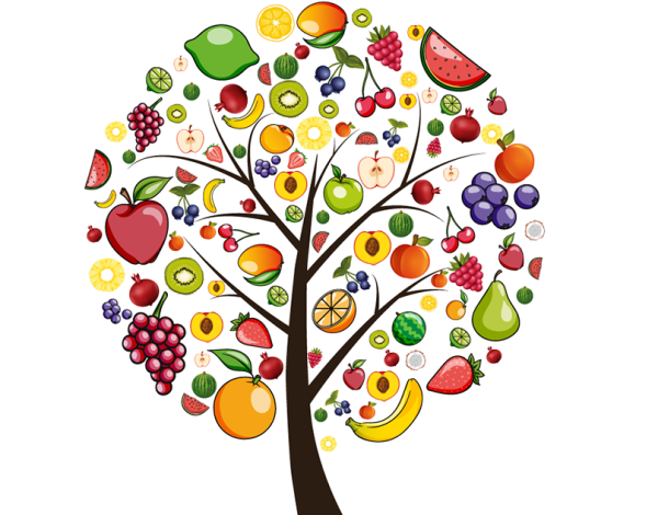 Фрукты на деревьях для детей