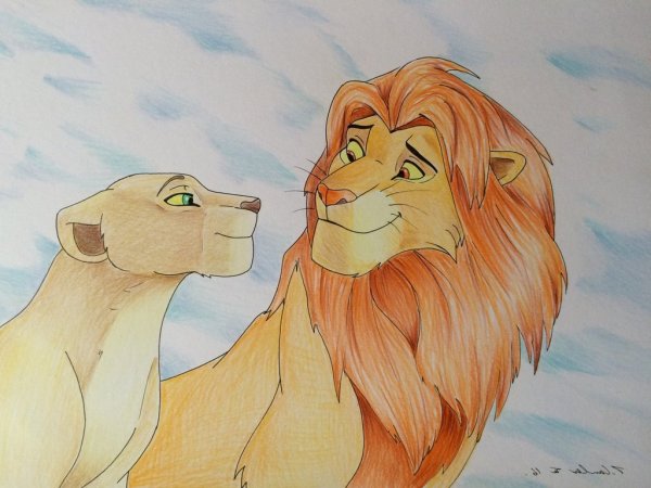 Симба Король Лев в красках