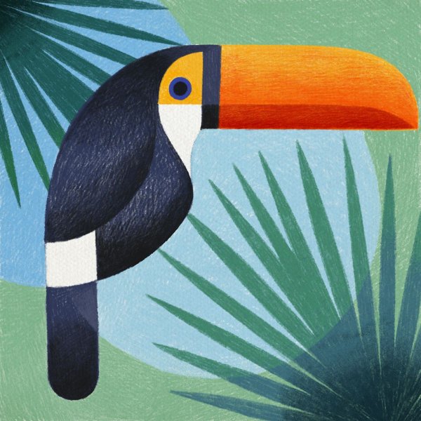 Тукан птица стилизация
