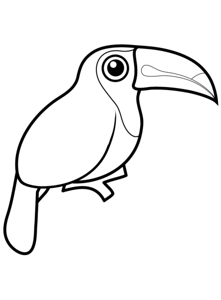 Тукан раскраска