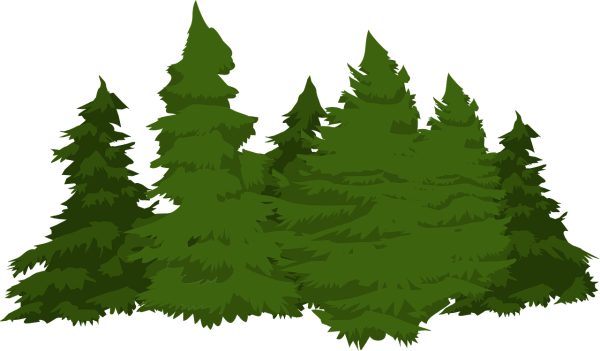 Лес на прозрачном фоне