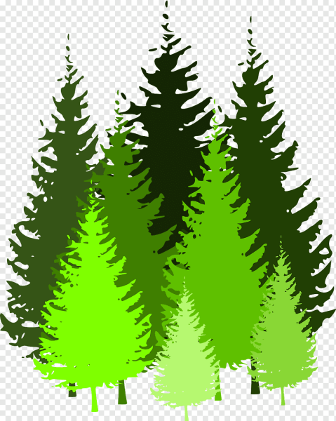 Значок хвойного дерева