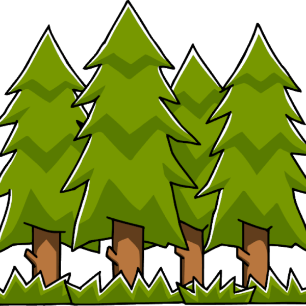 Лес на белом фоне