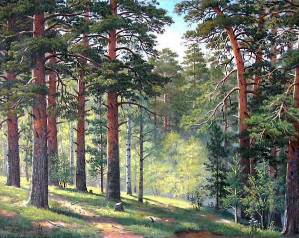 Владимир Бебия пейзажи