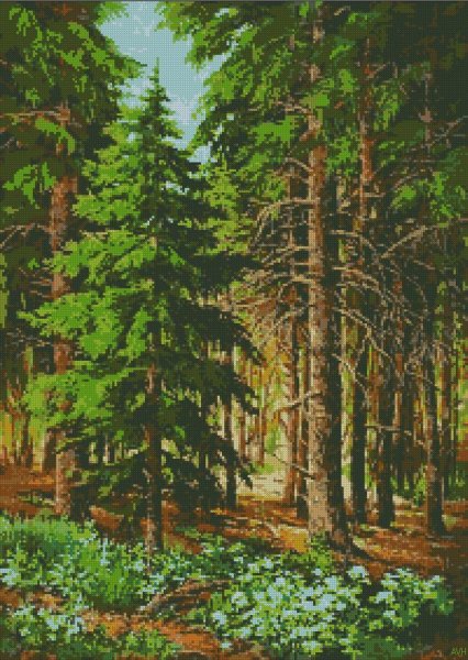Еловый Бор Шишкин