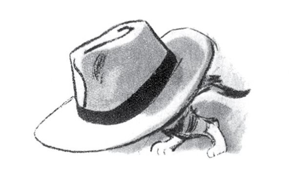 Носов Живая шляпа