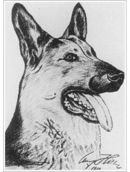 Картины Адольфа Гитлера галерея